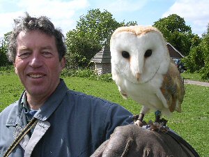 Barn Owl