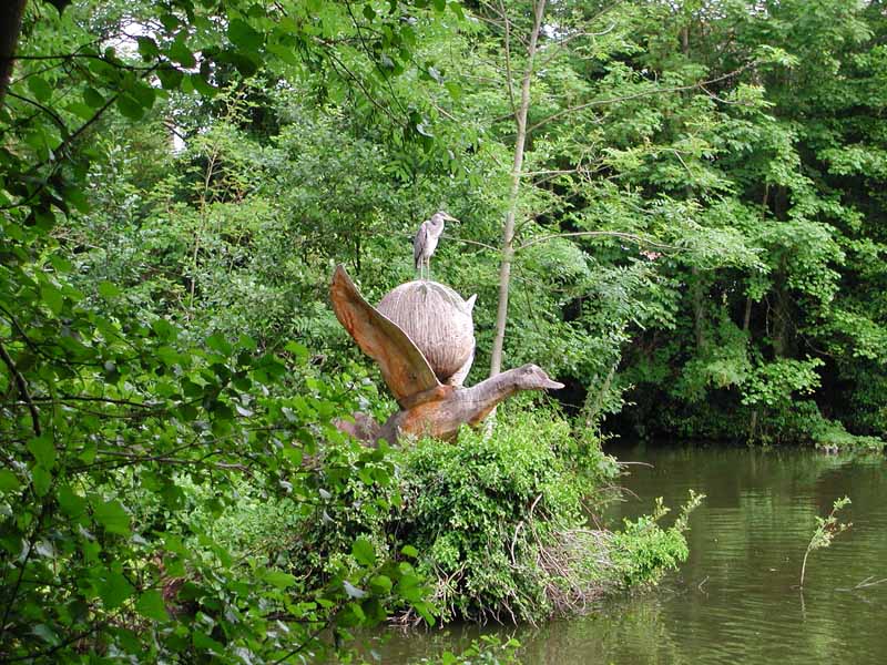 Heron on duck.jpg