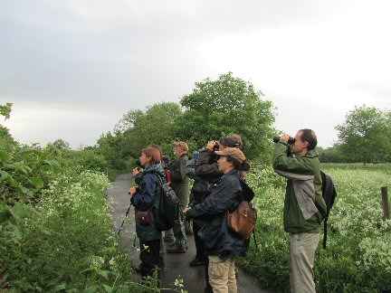 2011 Dawn Chorus Walk