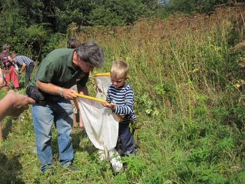 bug hunt picture