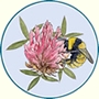 Bumblebee Conservation trust
