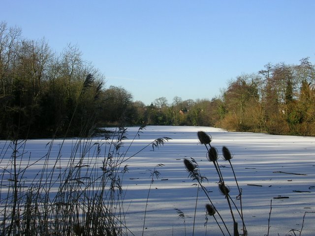 maiden erlegh lake