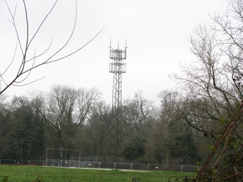 View over Redhatch Copse