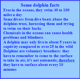 Dolphin facts