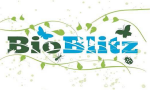 Bioblitz logo