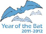 Year of Bat
