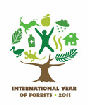 International Year of Trees