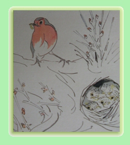 drawing of robin